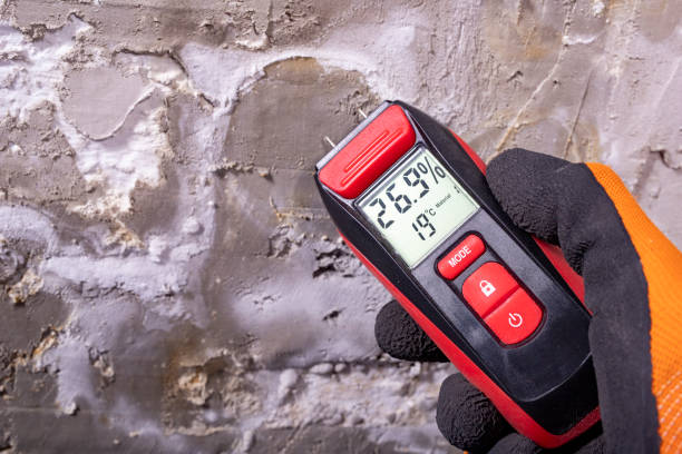 Best Mold Removal Company Near Me  in Oelwein, IA